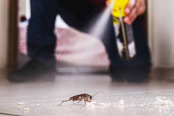 Pest Prevention Services